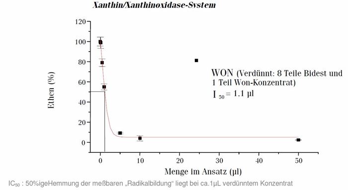 won-gutachten-4